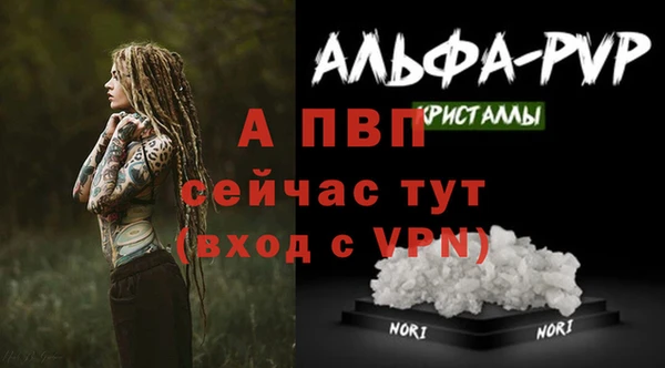 СК Армянск