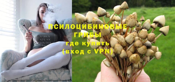 герыч Арсеньев