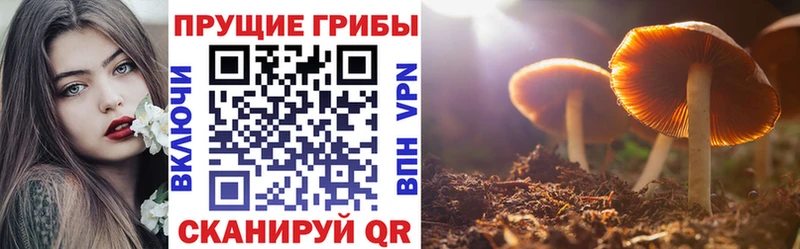 Псилоцибиновые грибы Psilocybine cubensis Купить закладки Орлов